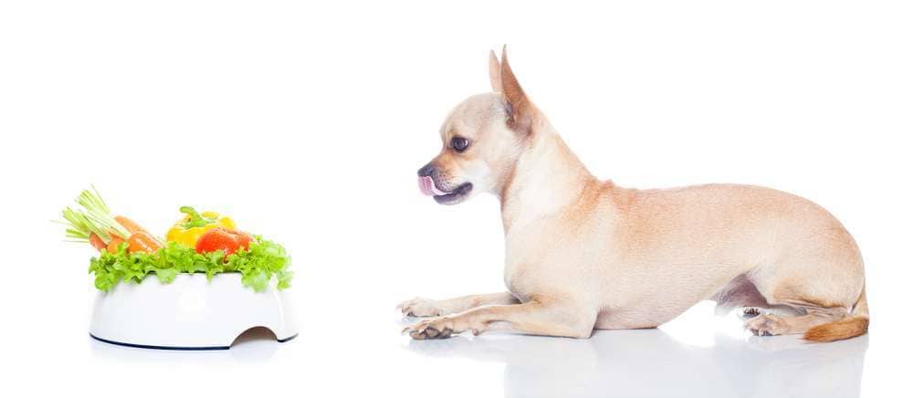 Top 10 Nutrient-Packed Veggies to Boost Your Dog’s Diet