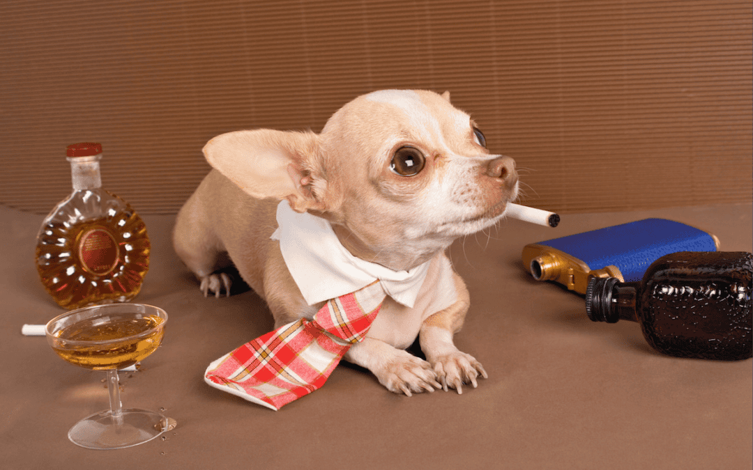 When Puppies Behave “Badly”