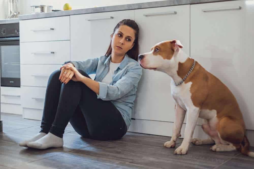 Dealing with the Puppy Blues