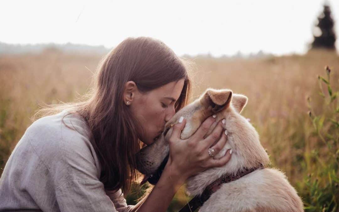 How To Bring Out The Best In Our Dogs