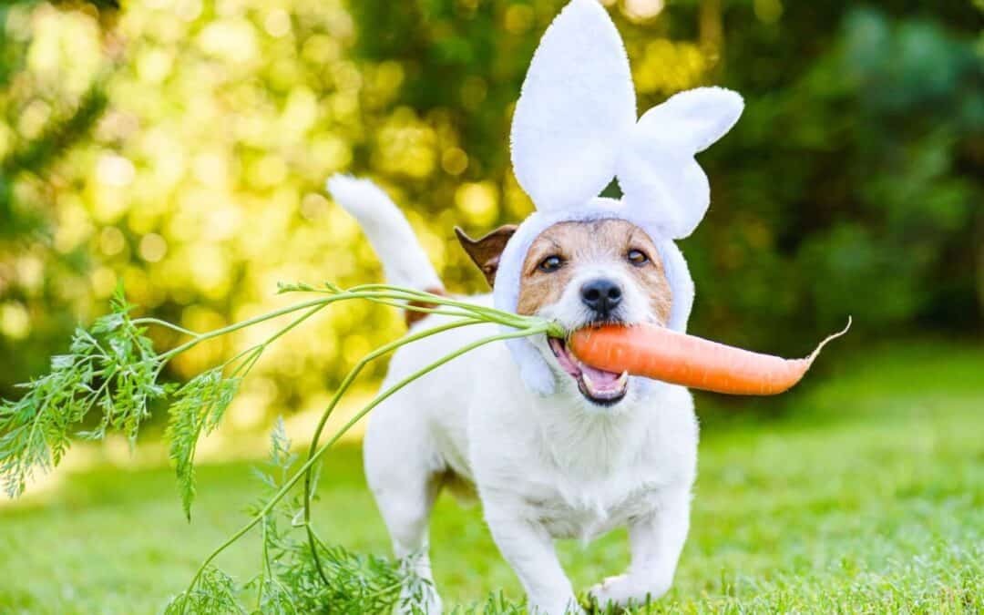 Tips for Keeping Your Dog Safe at Easter